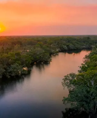 Spaziere zwischen mit Wasserlilien bedeckten Billabongs